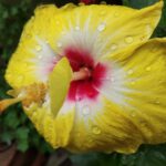 WhatsApp Image 2020-08-20 at 9.32.13 PM (2)