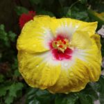 WhatsApp Image 2020-08-20 at 9.32.19 PM