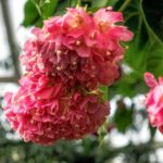 WhatsApp Image 2020-08-20 at 9.32.29 PM (1)