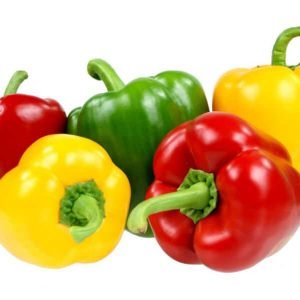 Capsicum or Bell Pepper