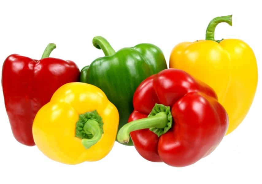 Capsicum or Bell Pepper